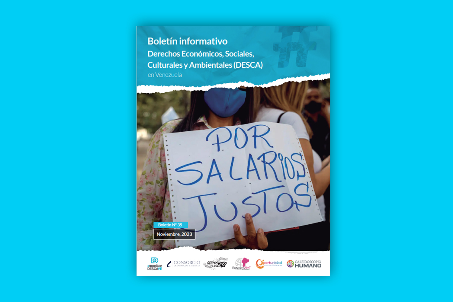 Boletín informativo Derechos Económicos, Sociales Culturales y Ambientales (DESCA)